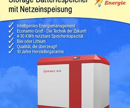 Storage-Batteriespeicher mit Netzeinspeisung