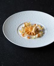 NOVO New Dining afbeelding 2