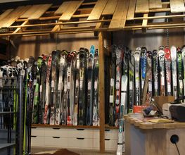 Intersport Wolf Bild 5