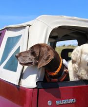 L'Auto Bécane image 9