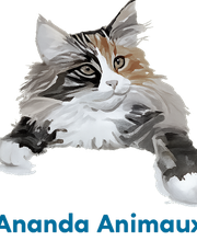 Ananda Animaux image 6