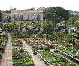 garden-arenas-interior-02.jpg