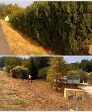 Entretien Jardin 47 image 4