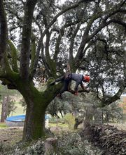 Au Gré Des Arbres image 3