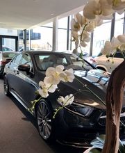 Hirsch Ruckstuhl AG Bild 5