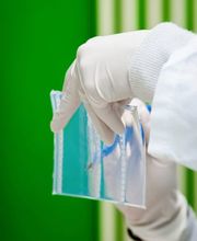 LDM Laboratorio di Diagnostica Molecolare Bild 3