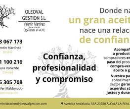 234153765-1-dTjCZ7dwP81782476094748.png