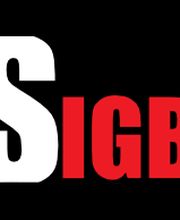 SIGB image 1