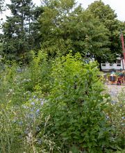 Fröbel-Kindergarten Oderknirpse in Frankfurt (Oder), Stadtzentrum, © Fröbel. Alle Rechte vorbehalten.