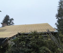 M.G.R. image 5