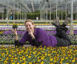 Plantencentrum Velden afbeelding 6