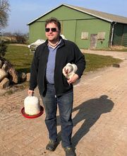 Hof Belvedere Bild 20