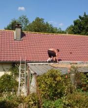 Cortes Teddy image 10