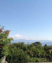 Auberge de Dully Bild 6