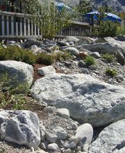 G. Bucher Gartenbau GmbH Bild 1