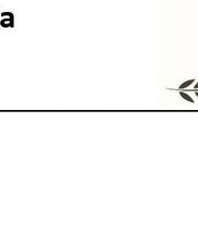 Etiquetas Romero imagen 14