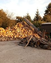 Reinhold Münstermann Bild 1