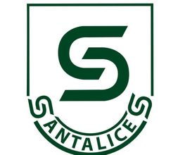 logoacademiasantalicesconnombre.jpg