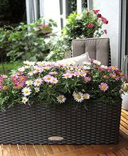 Gartenfachmarkt Richter Bild 4