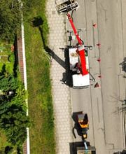 Baumpflege Baumring Bild 2