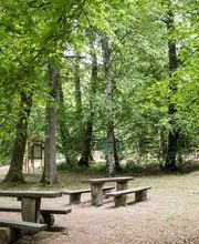 FriedWald Rümmingen Bild 11