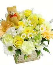 Rochedieu et Fils image 6