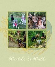 We like to Walk Bild 1