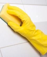 Neteges Pimot imagen 2