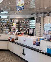 Gallery Professionale