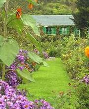 Camping Homair - Les Fontaines image 2