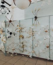 Gallery Professionale