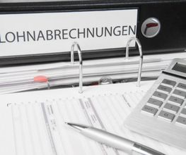 VebSt -Einzelunternehmen - Bild 3