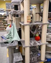 DAS FUTTERHAUS - Brake Bild 12