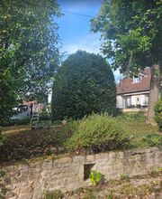 Satory Dylan image 5