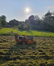 Müller Garten & Haus Bild 13