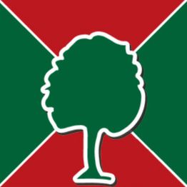 Tischler Daniel Albani Gestaltung in Holz