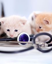 Serveis Veterinaris Esparreguera imagen 1