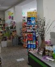 Raiffeisen Warengenossenschaft Bild 2