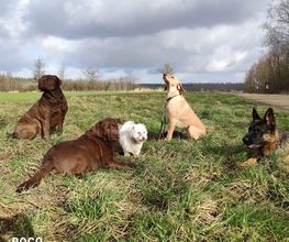 We like to Walk Bild 2