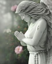 Dario Rossi Onoranze Funebri Sagl Bild 2