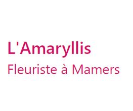 L'Amaryllis image 1