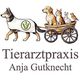Tierarztpraxis Anja Gutknecht