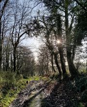 Maureen Voyance image 1