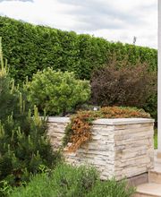 Bont Gartenbau und Gartenpflege AG Bild 10