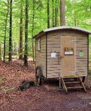 FriedWald Buxtehude Bild 17