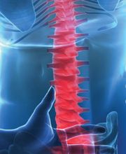 Thornhill-Kunz Florence Bild 2