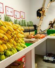 André Claude image 18