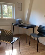 Sauvage Damiens image 1