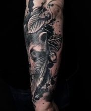 Chris Ape Tattoo Bild 18