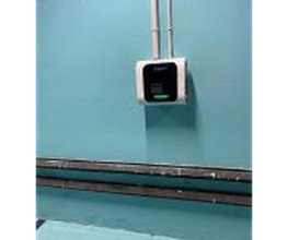 Wenea imagen 2